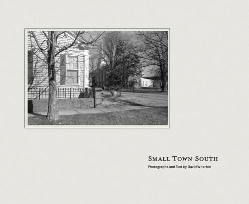 Small Town South [Hardcover]