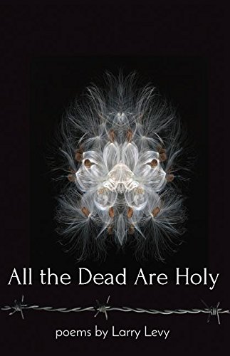 All The Dead Are Holy [Paperback]