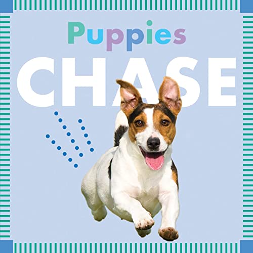 Puppies Chase [Board book]