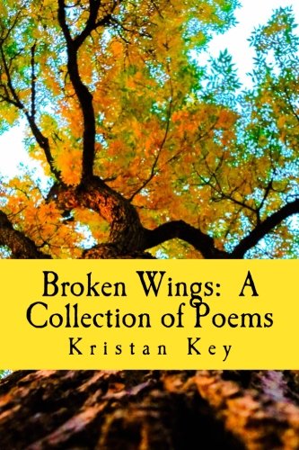 Broken Wings A Collection Of Poems [Paperback]