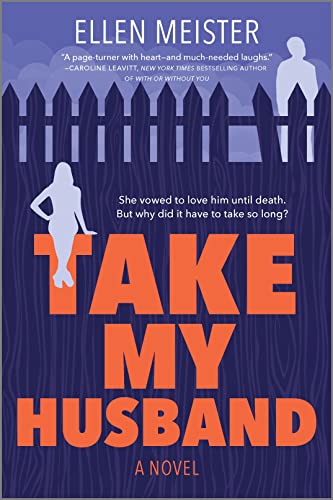 Take My Husband: A Novel [Paperback]