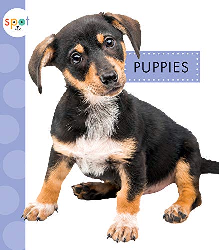 Puppies [Paperback]