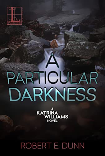 A Particular Darkness [Paperback]