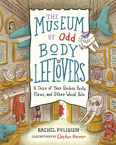 The Museum of Odd Body Leftovers: A Tour of Your Useless Parts, Flaws, and Other [Hardcover]