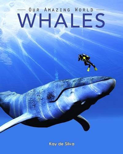 Whales Amazing Pictures & Fun Facts On Animals In Nature [Paperback]