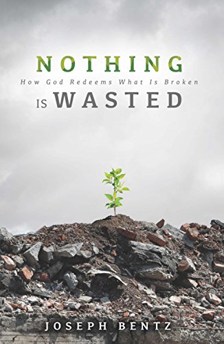 Nothing Is Wasted [Paperback]