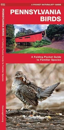 Pennsylvania Birds: A Folding Pocket Guide to