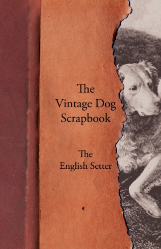 The Vintage Dog Scrapbook - The English Setter [Paperback]