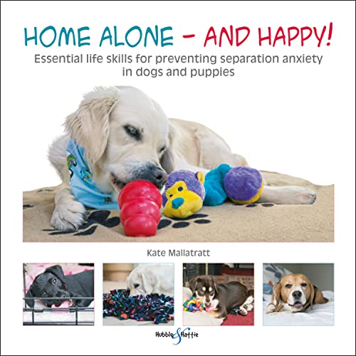 Home Alone and Happy!: Essential life skills for preventing separation anxiety i [Paperback]