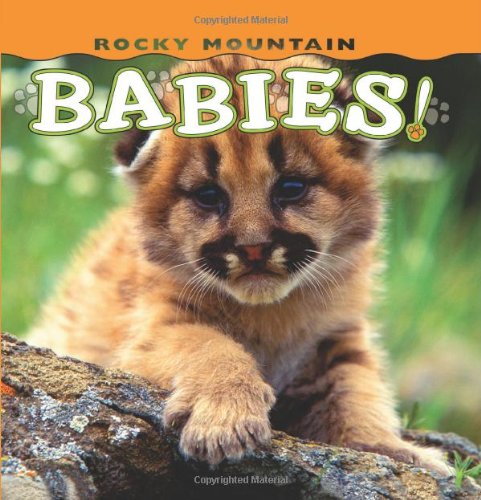 Rocky Mountain Babies! [Hardcover]