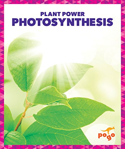 Photosynthesis [Hardcover]