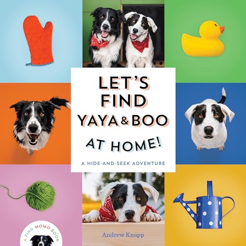 Let's Find Yaya and Boo at Home!: A Hide-and-Seek Adventure [Board book]