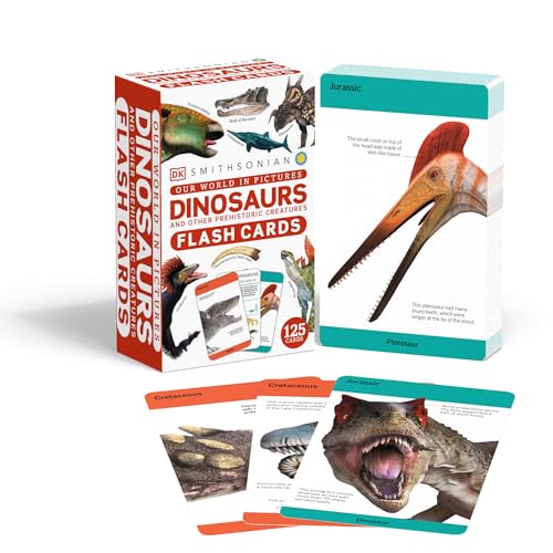 Our World in Pictures Dinosaurs and Other Prehistoric Creatures Flash Cards [Cards]