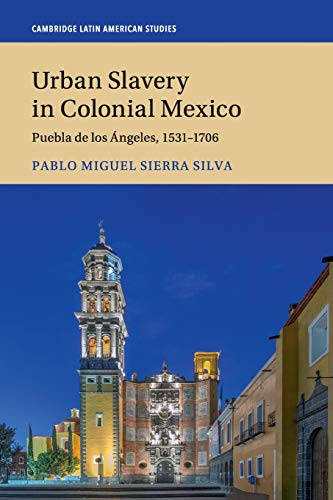 Urban Slavery in Colonial Mexico Puebla de los ngeles, 15311706 [Paperback]