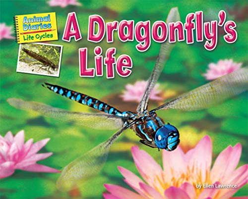 Dragonfly's Life [Paperback]