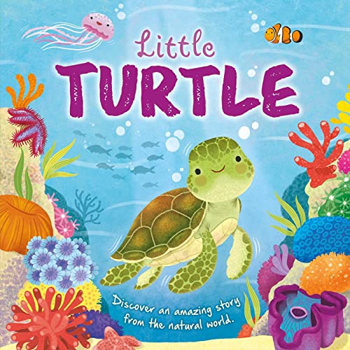 Nature Stories: Little Turtle: Padded Board Book [Board book]