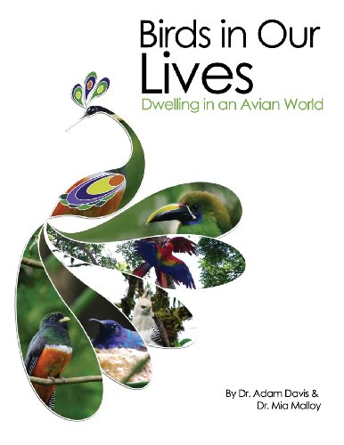 Birds In Our Lives Delling In An Avian World [Paperback]