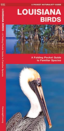 Louisiana Birds: A Folding Pocket Guide to Familiar Species [Pamphlet]