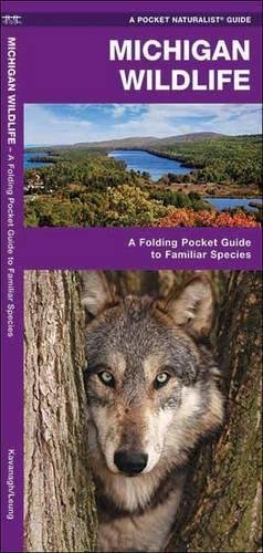 Michigan Wildlife: A Folding Pocket Guide to