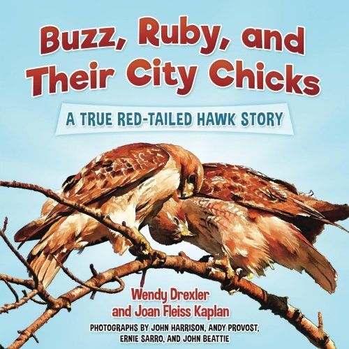 Buzz, Ruby, And Their City Chicks A True Red-Tailed Hak Story [Paperback]