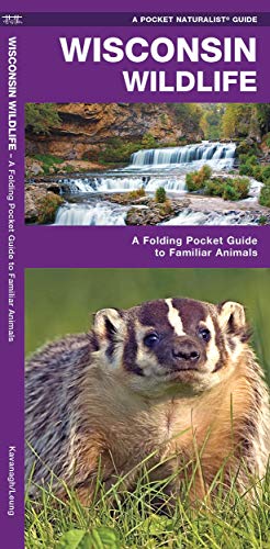 Wisconsin Wildlife: A Folding Pocket Guide to Familiar Animals [Pamphlet]