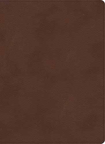 Kjv Single Column Wide Margin Bib Brown  [CLO