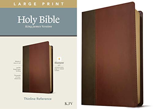 KJV Large Print Thinline Reference Bible, Filament Enabled Edition (Red Letter,  [Leather / fine bindi]