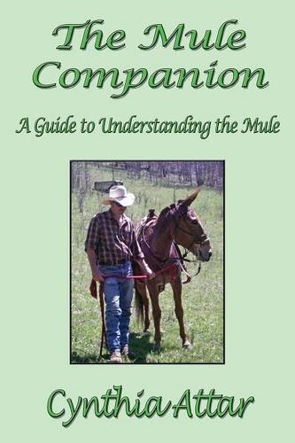 The Mule Companion A Guide To Understanding The Mule [Paperback]