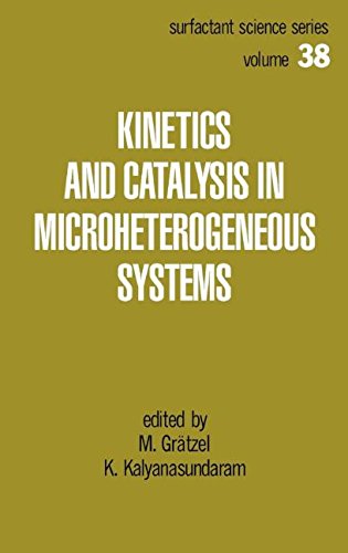 Kinetics and Catalysis in Microheterogeneous Systems [Hardcover]