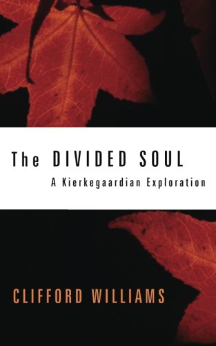 Divided Soul [Paperback]