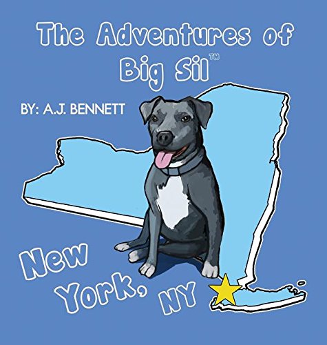 The Adventures Of Big Sil Ne York, Ny [Hardcover]