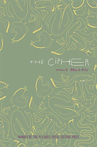 Cipher [Paperback]