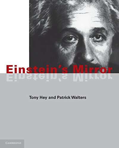 Einstein's Mirror [Paperback]