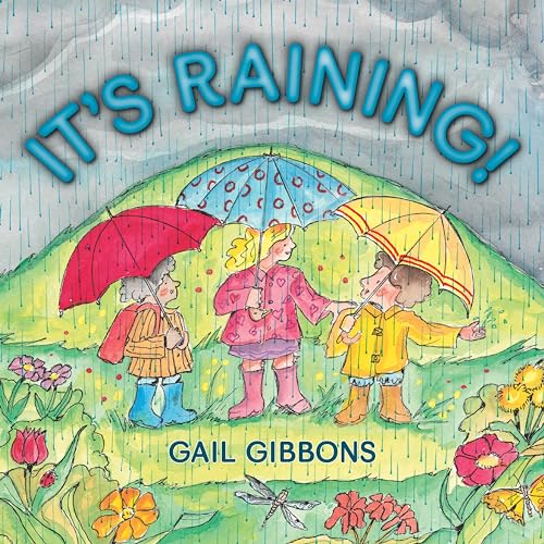 It's Raining! [Paperback]