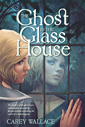 The Ghost in the Glass House [Paperback]