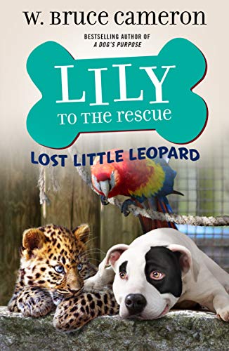 Lily to the Rescue: Lost Little Leopard [Paperback]