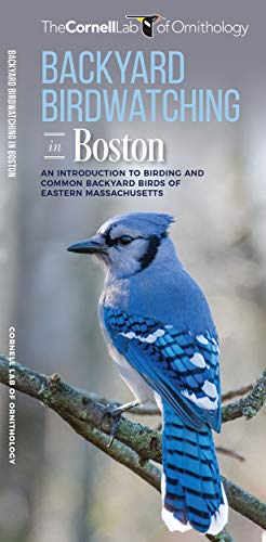 Backyard Birdwatching in Boston: An Introduction to Birding and Common Backyard  [Pamphlet]