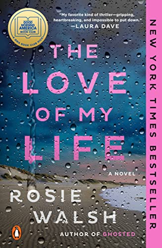 The Love of My Life: A Novel [Paperback]