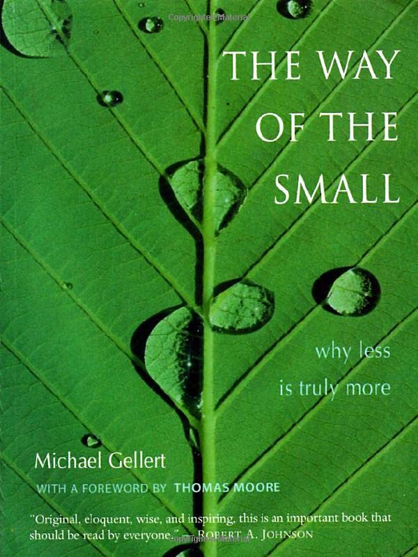 The Way Of The Small: Why Less Is More [Paperback]