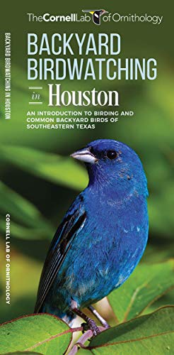 Backyard Birdwatching in Houston: An Introduction to Birding and Common Backyard [Pamphlet]