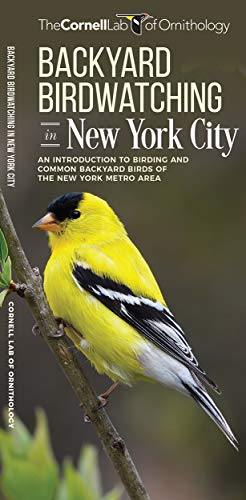 Backyard Birdwatching in New York City: An Introduction to Birding and Common Ba [Pamphlet]