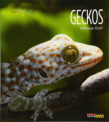 Living Wild: Geckos [Paperback]