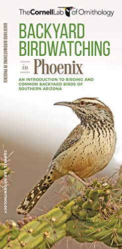 Backyard Birdwatching in Phoenix: An Introduction to Birding and Common Backyard [Pamphlet]