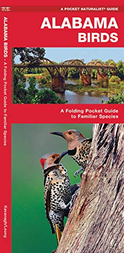 Alabama Birds: A Folding Pocket Guide to Familiar Species [Pamphlet]