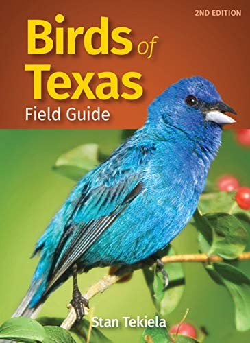 Birds of Texas Field Guide [Paperback]