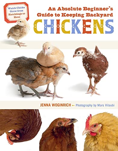 An Absolute Beginner's Guide to Keeping Backyard Chickens: Watch Chicks Grow [Paperback]