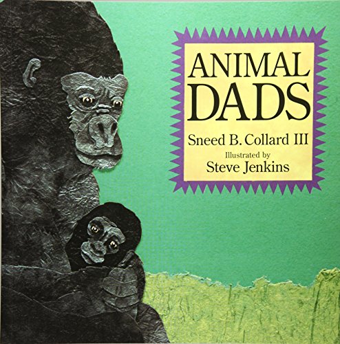 Animal Dads [Paperback]