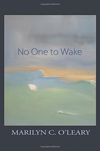 No One To Wake [Paperback]