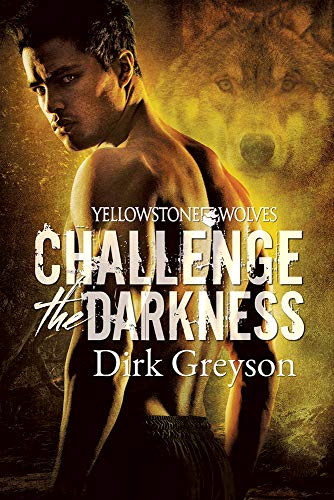 Challenge the Darkness [Paperback]