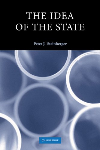 The Idea of the State [Paperback]